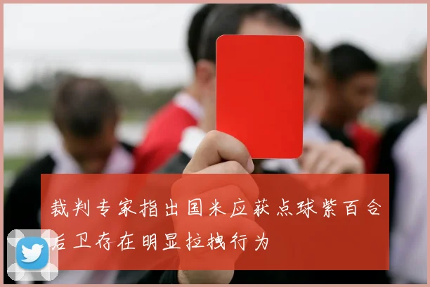 裁判专家指出国米应获点球紫百合后卫存在明显拉拽行为