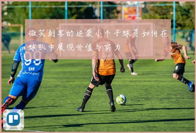 微笑刺客的逆袭小个子球员如何在球队中展现价值与实力