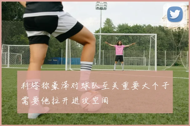 科塔称豪泽对球队至关重要大个子需要他拉开进攻空间