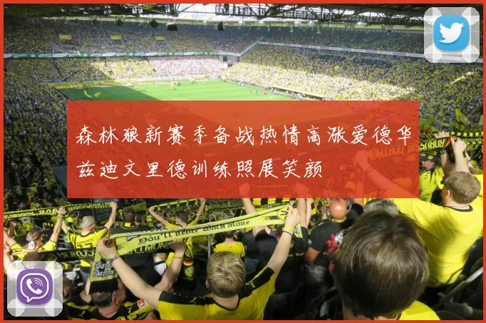 森林狼新赛季备战热情高涨爱德华兹迪文里德训练照展笑颜