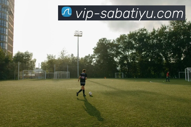 多媒体互动体验