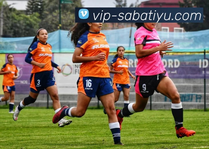 沙巴体育APP 体育赛事宣传图